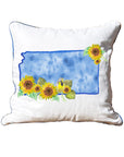 Watercolor State Pillows