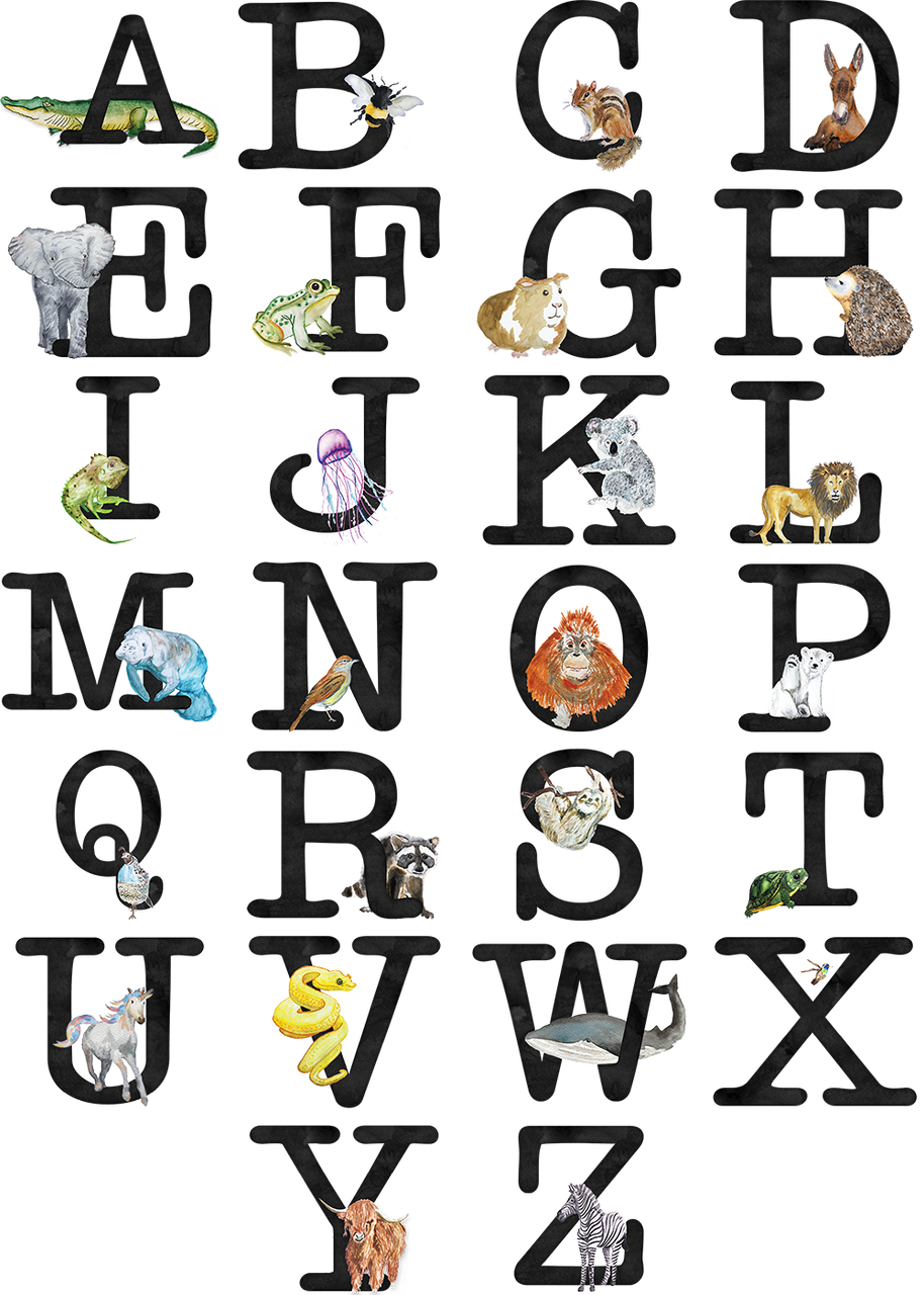 Floral Animal Alphabet Tee